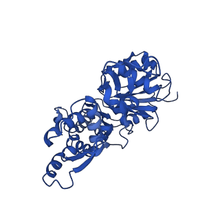 7936_6djm_B_v1-2
Cryo-EM structure of AMPPNP-actin filaments