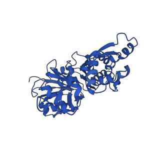 7936_6djm_C_v1-2
Cryo-EM structure of AMPPNP-actin filaments