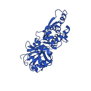 7937_6djn_A_v1-2
Cryo-EM structure of ADP-Pi-actin filaments