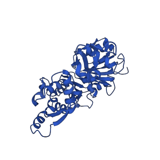 7937_6djn_B_v1-2
Cryo-EM structure of ADP-Pi-actin filaments