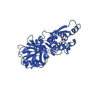 7937_6djn_C_v1-2
Cryo-EM structure of ADP-Pi-actin filaments