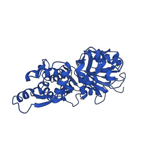7937_6djn_D_v1-2
Cryo-EM structure of ADP-Pi-actin filaments