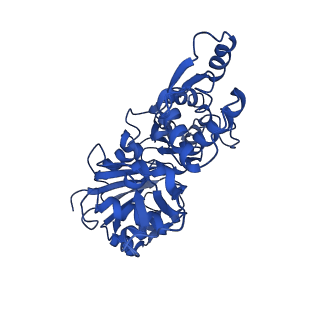 7938_6djo_A_v1-2
Cryo-EM structure of ADP-actin filaments