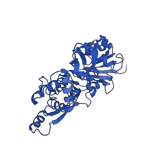 7938_6djo_B_v1-2
Cryo-EM structure of ADP-actin filaments