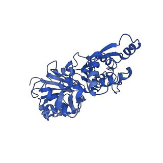 7938_6djo_C_v1-2
Cryo-EM structure of ADP-actin filaments