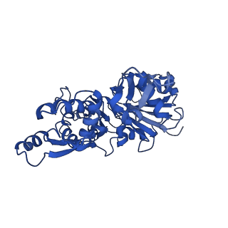 7938_6djo_D_v1-2
Cryo-EM structure of ADP-actin filaments