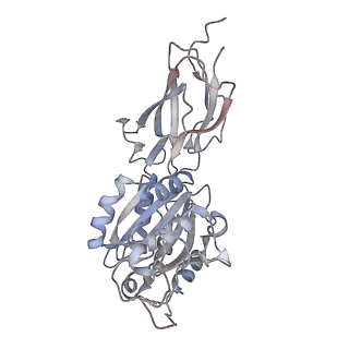 7939_6djp_B_v1-3
Integrin alpha-v beta-8 in complex with the Fabs 8B8 and 68