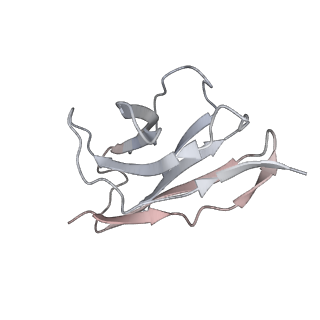 7939_6djp_C_v2-0
Integrin alpha-v beta-8 in complex with the Fabs 8B8 and 68