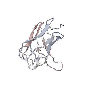 7939_6djp_D_v1-3
Integrin alpha-v beta-8 in complex with the Fabs 8B8 and 68