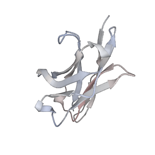 7939_6djp_E_v1-3
Integrin alpha-v beta-8 in complex with the Fabs 8B8 and 68