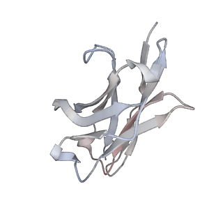 7939_6djp_E_v2-0
Integrin alpha-v beta-8 in complex with the Fabs 8B8 and 68