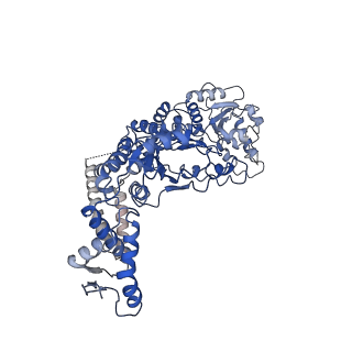7942_6dju_A_v1-3
Mtb ClpB in complex with ATPgammaS and casein, Conformer 1