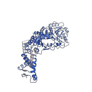 7942_6dju_A_v1-4
Mtb ClpB in complex with ATPgammaS and casein, Conformer 1