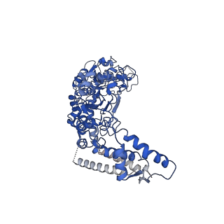 7942_6dju_B_v1-3
Mtb ClpB in complex with ATPgammaS and casein, Conformer 1