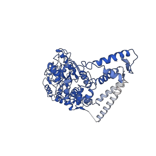 7942_6dju_C_v1-3
Mtb ClpB in complex with ATPgammaS and casein, Conformer 1