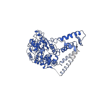 7942_6dju_C_v1-4
Mtb ClpB in complex with ATPgammaS and casein, Conformer 1