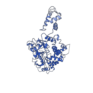 7942_6dju_D_v1-3
Mtb ClpB in complex with ATPgammaS and casein, Conformer 1