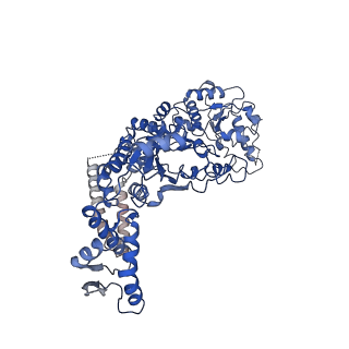 7943_6djv_A_v1-4
Mtb ClpB in complex with ATPgammaS and casein, Conformer 2