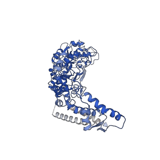 7943_6djv_B_v1-3
Mtb ClpB in complex with ATPgammaS and casein, Conformer 2