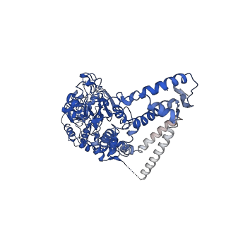 7943_6djv_C_v1-3
Mtb ClpB in complex with ATPgammaS and casein, Conformer 2