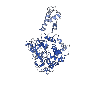 7943_6djv_D_v1-3
Mtb ClpB in complex with ATPgammaS and casein, Conformer 2