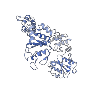 7943_6djv_E_v1-3
Mtb ClpB in complex with ATPgammaS and casein, Conformer 2