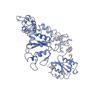 7943_6djv_E_v1-4
Mtb ClpB in complex with ATPgammaS and casein, Conformer 2