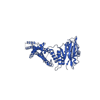 27480_8dk1_D_v1-2
CryoEM structure of JetABC (head construct) from Pseudomonas aeruginosa PA14