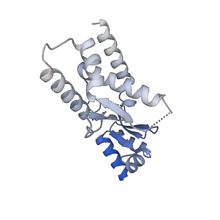 27480_8dk1_E_v1-2
CryoEM structure of JetABC (head construct) from Pseudomonas aeruginosa PA14