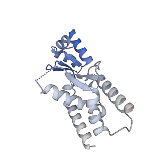 27480_8dk1_G_v1-2
CryoEM structure of JetABC (head construct) from Pseudomonas aeruginosa PA14