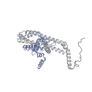 27481_8dk2_B_v1-2
CryoEM structure of Pseudomonas aeruginosa PA14 JetABC in an unclamped state trapped in ATP dependent dimeric form