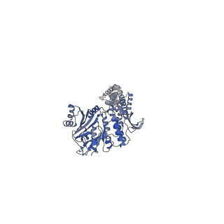 27481_8dk2_C_v1-2
CryoEM structure of Pseudomonas aeruginosa PA14 JetABC in an unclamped state trapped in ATP dependent dimeric form