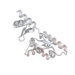 27481_8dk2_H_v1-2
CryoEM structure of Pseudomonas aeruginosa PA14 JetABC in an unclamped state trapped in ATP dependent dimeric form