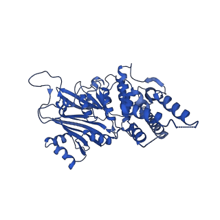 27482_8dk3_A_v1-2
CryoEM structure of Pseudomonas aeruginosa PA14 JetC ATPase domain bound to DNA and cWHD domain of JetA