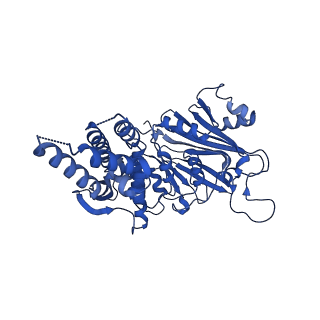 27482_8dk3_B_v1-2
CryoEM structure of Pseudomonas aeruginosa PA14 JetC ATPase domain bound to DNA and cWHD domain of JetA