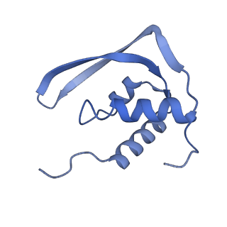27482_8dk3_C_v1-2
CryoEM structure of Pseudomonas aeruginosa PA14 JetC ATPase domain bound to DNA and cWHD domain of JetA