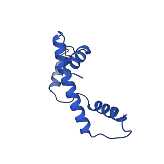 27483_8dk5_A_v1-0
Structure of 187bp LIN28b nucleosome with site 0 mutation