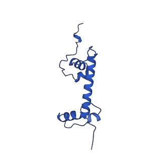 27483_8dk5_C_v1-0
Structure of 187bp LIN28b nucleosome with site 0 mutation
