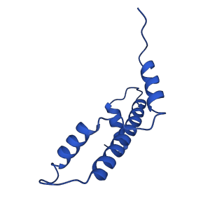 27483_8dk5_E_v1-0
Structure of 187bp LIN28b nucleosome with site 0 mutation