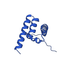 27483_8dk5_H_v1-0
Structure of 187bp LIN28b nucleosome with site 0 mutation