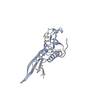 27487_8dkc_A_v1-0
P. gingivalis RNA Polymerase