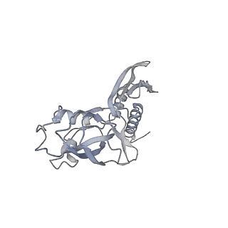 27487_8dkc_B_v1-0
P. gingivalis RNA Polymerase