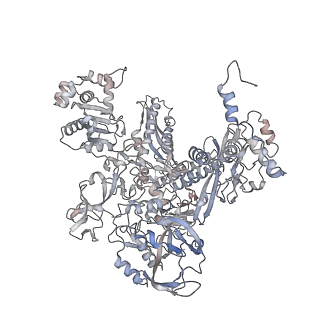 27487_8dkc_C_v1-0
P. gingivalis RNA Polymerase
