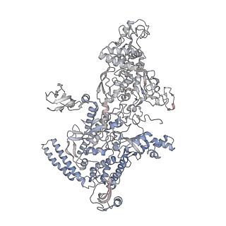 27487_8dkc_D_v1-0
P. gingivalis RNA Polymerase