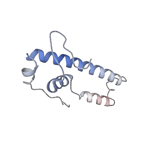 27487_8dkc_E_v1-0
P. gingivalis RNA Polymerase