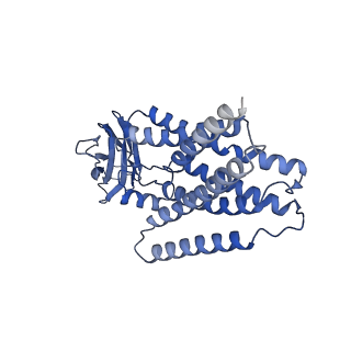 27488_8dke_P_v1-2
Cryo-EM structure of cystinosin in a cytosol-open state