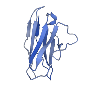 27490_8dkm_B_v1-2
Cryo-EM structure of cystine-bound cystinosin in a lumen-open state