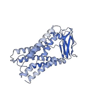 27490_8dkm_P_v1-2
Cryo-EM structure of cystine-bound cystinosin in a lumen-open state