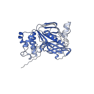 27491_8dku_A_v1-0
CryoEM structure of the A. aeolicus WzmWzt transporter bound to the native O antigen
