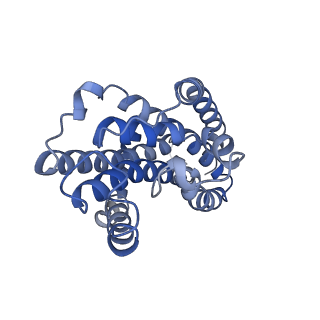 27491_8dku_B_v1-0
CryoEM structure of the A. aeolicus WzmWzt transporter bound to the native O antigen